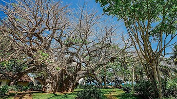 Papillon Lagoon Reef