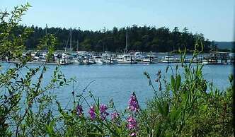 Lopez Islander Resort