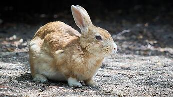 Tabist Setouchi no Yado Takehara Seaside
