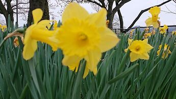 Lake&Forest Flower Villa Hotel