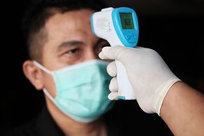 Pine Tree House Da Lat