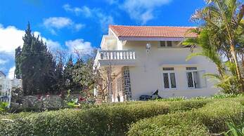 Pine Tree House Da Lat