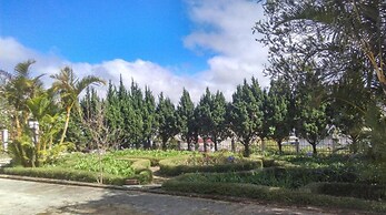 Pine Tree House Da Lat