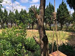 Pine Tree House Da Lat