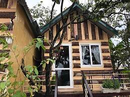 Pine Tree House Da Lat