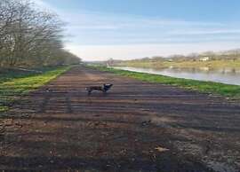 Holiday Home in La Roche-en-ardenne With Garden