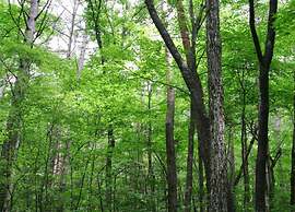 Holiday Home in La Roche-en-ardenne With Garden