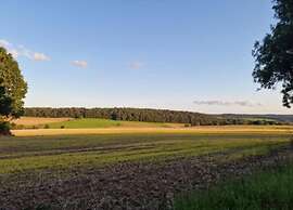 Holiday Home in La Roche-en-ardenne With Garden