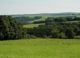 Holiday Home in La Roche-en-ardenne With Garden