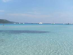 Apartment in Dubrovni With Garden