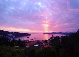 Apartment in Dubrovni With Garden