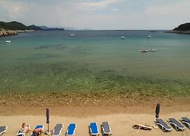 Apartment in Dubrovni With Garden