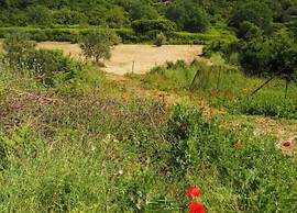Apartment in Dubrovni With Garden