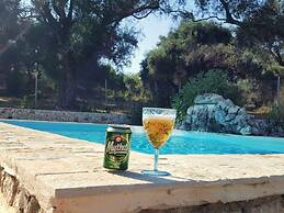 Villa in Afionas With Private Pool