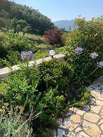 Villa in Afionas With Private Pool