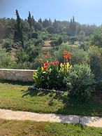 Villa in Afionas With Private Pool