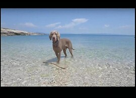 Apartment in ilo With Private Pool