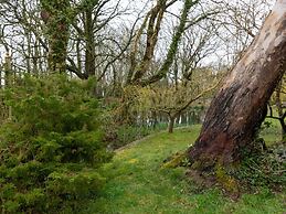 Deluxe Holiday Home in Ceredigion With Garden