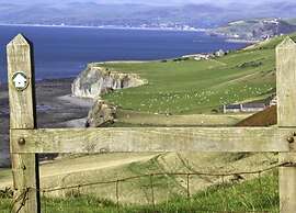 Deluxe Holiday Home in Ceredigion With Garden