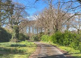 Deluxe Holiday Home in Ceredigion With Garden