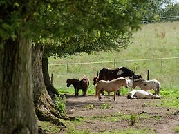 Holiday Home With Garden in Houffalize