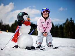 Appealing Chalet With Infrared Sauna