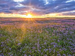 Holiday Home in De Koog Texel With Sauna