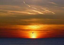 Chic Beachside Stay w/ Sauna