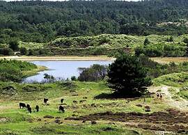 Chic Beachside Stay w/ Sauna