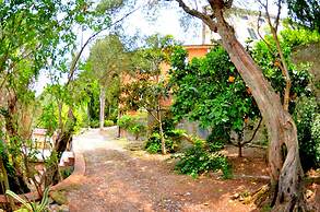 Massarosa Garden Cottage