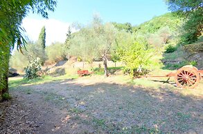 Massarosa Garden Cottage