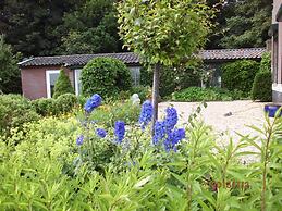 Tranquil Egmond Hideaway