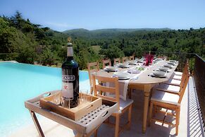 Villa in Provence With Infinity Pool