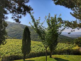 Cottage in Loro Ciuffenna With Swimming Pool