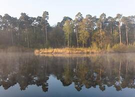 Family Home w/ Trampoline