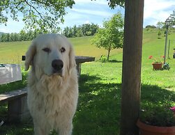 Belvilla by OYO Farmhouse With Swimming Pool