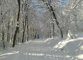 Wohnung in Silbecke mit Garten