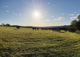Wohnung in Silbecke mit Garten