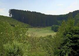 Wohnung in Silbecke mit Garten