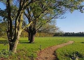 Chalet in Parc de Kievit With Private Garden