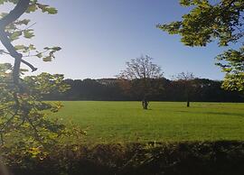 Chalet in Parc de Kievit With Private Garden