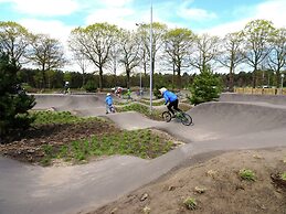 Spacious Holiday Home in Eersel With Open Fire