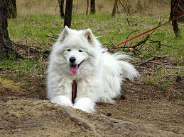 Spacious Holiday Home in Eersel With Open Fire