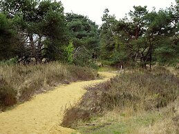 Spacious Holiday Home in Eersel With Open Fire