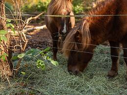 Historic Half Timbered Farm in Hohnebostel near Water Sports
