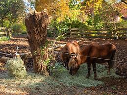 Historic Half Timbered Farm in Hohnebostel near Water Sports