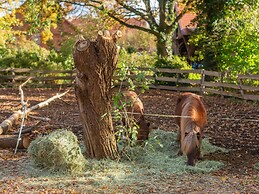 Historic Half Timbered Farm in Hohnebostel near Water Sports