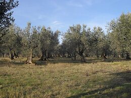 Beautiful Farmhouse with Hot Tub in Umbria