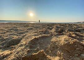 Tasteful Apartment Landscaped Garden