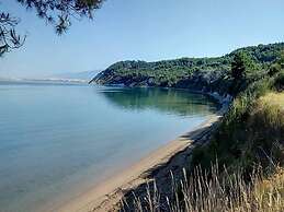 Tasteful Apartment Landscaped Garden